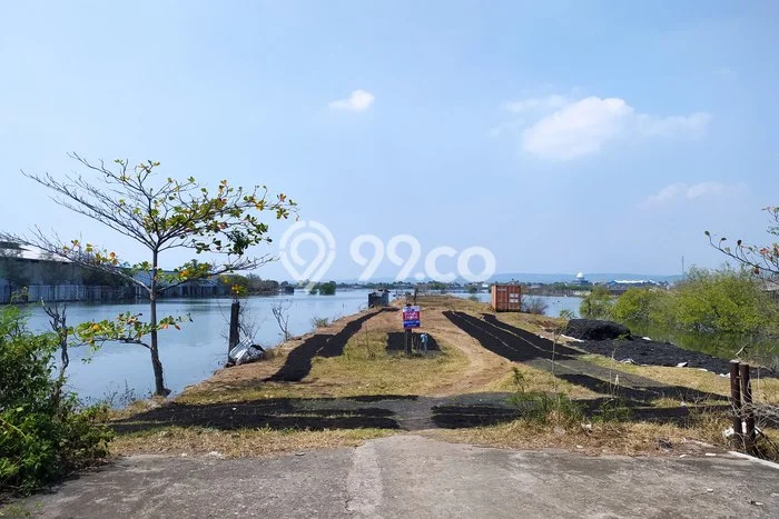 Tanah Kavling di Kaliwungu Dijual dengan Luas 5000m2 Tanah Kavling di Kaliwungu Dijual dengan Luas 5000m2