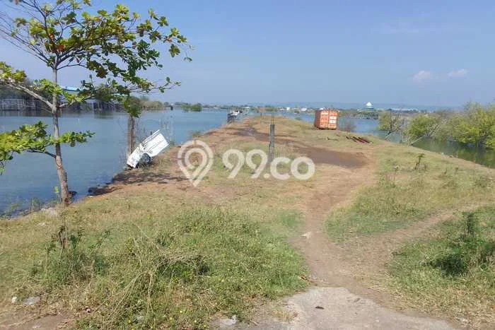 Tanah Kavling di Kaliwungu Dijual dengan Luas 5000m2 Tanah Kavling di Kaliwungu Dijual dengan Luas 5000m2