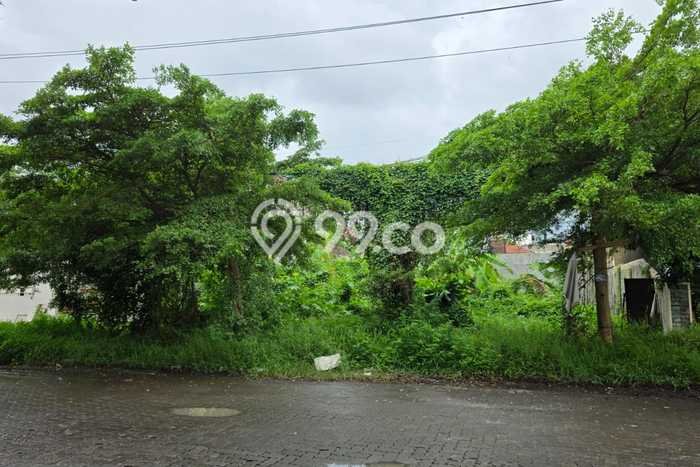Kavling Tanah Dijual di Semarang Barat, Semarang, Luas 585m2 Area Strategis Kavling Tanah Dijual di Semarang Barat, Semarang, Luas 585m2 Area Strategis