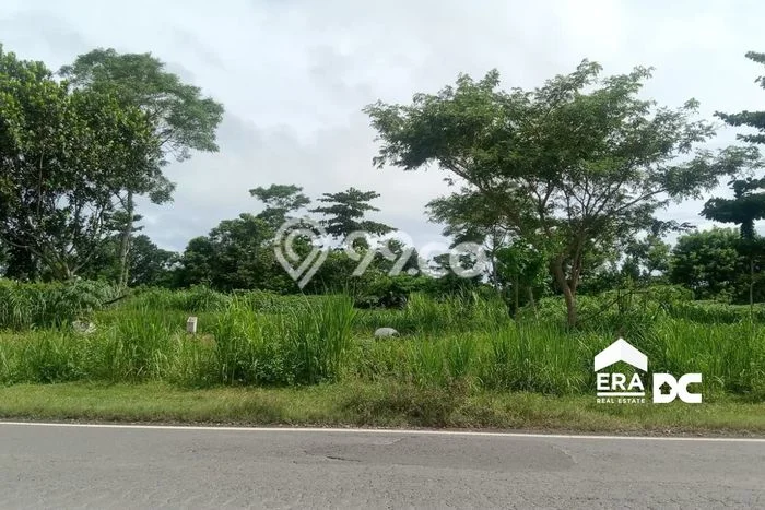 Tanah Dijual Lokasi Kebumen, Kebumen Luas 8756m2 Legalitas Aman Tanah Dijual Lokasi Kebumen, Kebumen Luas 8756m2 Legalitas Aman