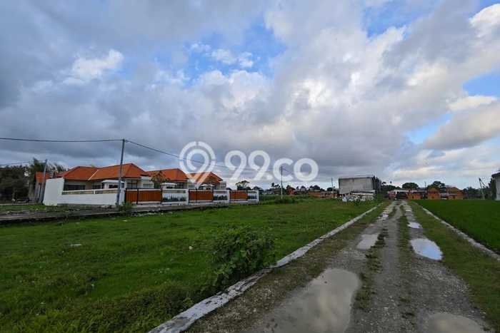 Jarang Ada! Tanah Kavling Disewakan di Badung 600m2 Jarang Ada! Tanah Kavling Disewakan di Badung 600m2