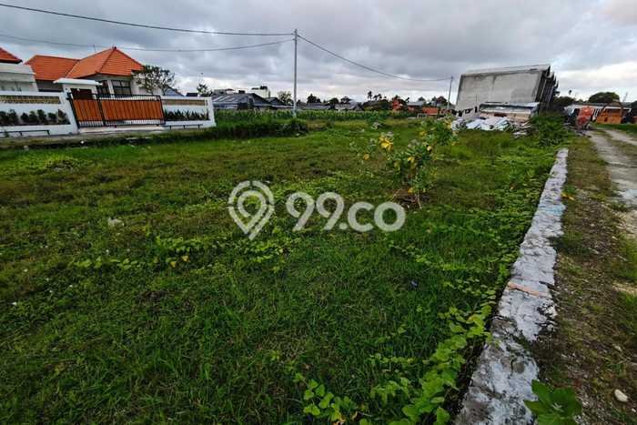 Jarang Ada! Tanah Kavling Disewakan di Badung 600m2 Jarang Ada! Tanah Kavling Disewakan di Badung 600m2