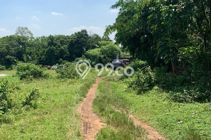 Untuk Dijual Tanah di Cikeusal Serang Luas 9013m2 SHM Untuk Dijual Tanah di Cikeusal Serang Luas 9013m2 SHM