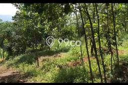 Kavling Tanah di Jonggol Dijual Luas 4811m2 Legalitas SHM Kavling Tanah di Jonggol Dijual Luas 4811m2 Legalitas SHM