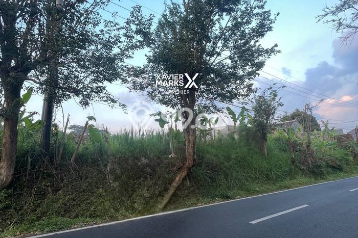 Tanah Dijual Area Strategis di Dieng Tidar Malang 3790m2 Tanah Dijual Area Strategis di Dieng Tidar Malang 3790m2
