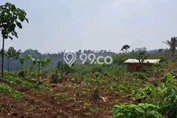 Lahan Kosong Dijual di Bandung dengan Area 35000m2 Lahan Kosong Dijual di Bandung dengan Area 35000m2