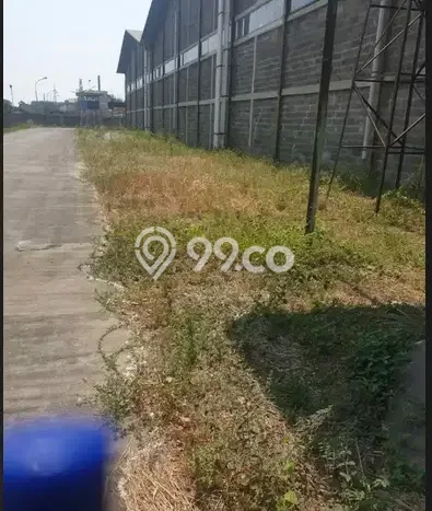 Untuk Disewa Gudang di Cikarang Selatan Bekasi LT 20000m2, LB 11000m2 Untuk Disewa Gudang di Cikarang Selatan Bekasi LT 20000m2, LB 11000m2