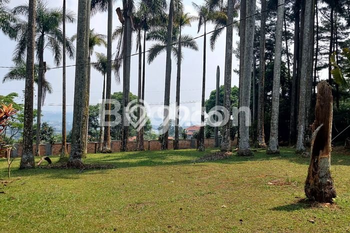 Untuk Dijual Tanah di Sukaraja Bogor Luas 3700m2 SHM Untuk Dijual Tanah di Sukaraja Bogor Luas 3700m2 SHM