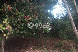 Kavling Tanah untuk Dijual di Dago Pakar, Bandung, Luas 193m2 Kavling Tanah untuk Dijual di Dago Pakar, Bandung, Luas 193m2