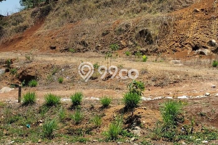 Tanah Kavling di Cimenyan Dijual dengan Luas 3377m2 Tanah Kavling di Cimenyan Dijual dengan Luas 3377m2