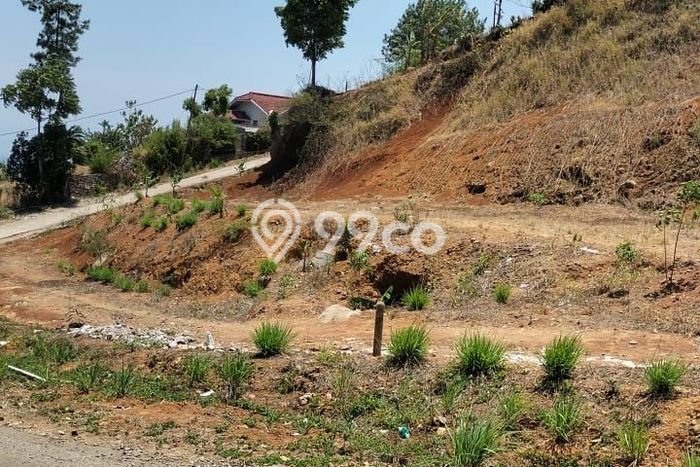 Tanah Kavling di Cimenyan Dijual dengan Luas 3377m2 Tanah Kavling di Cimenyan Dijual dengan Luas 3377m2