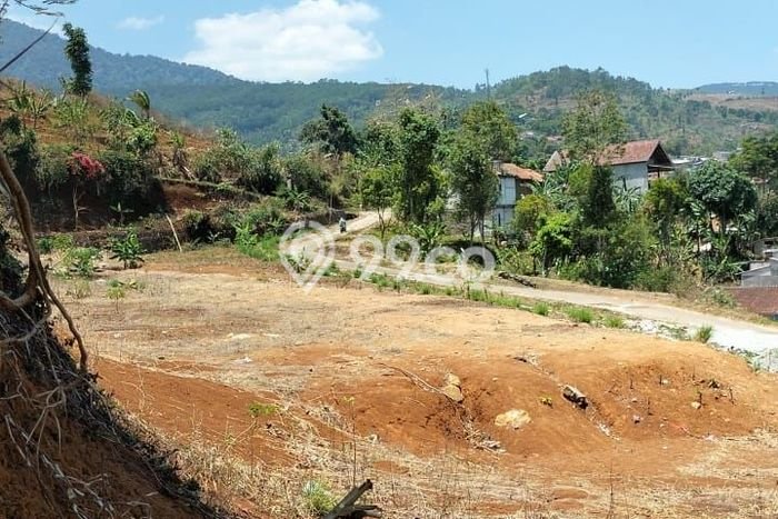 Tanah Kavling di Cimenyan Dijual dengan Luas 3377m2 Tanah Kavling di Cimenyan Dijual dengan Luas 3377m2