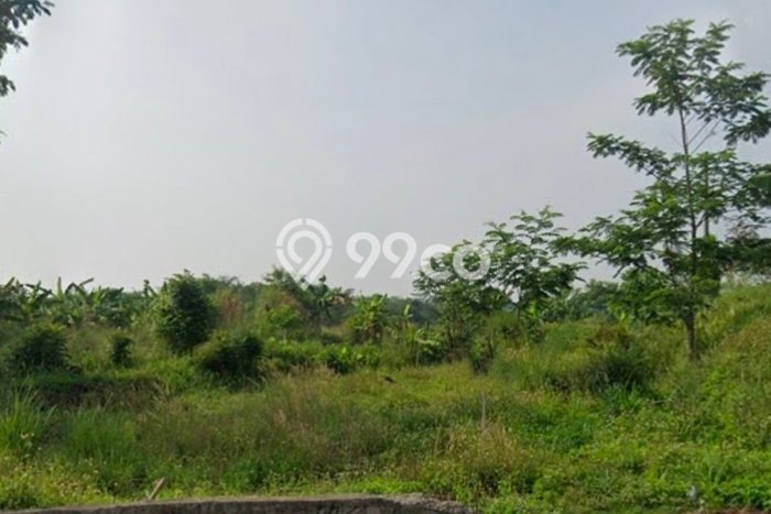 Lahan untuk Dijual di Sukatani Purwakarta Luas 11575m2 Lahan untuk Dijual di Sukatani Purwakarta Luas 11575m2