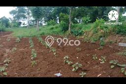 Kavling Tanah Dijual di Cimahi Utara Cimahi Spesifikasi 1225m2 Kavling Tanah Dijual di Cimahi Utara Cimahi Spesifikasi 1225m2