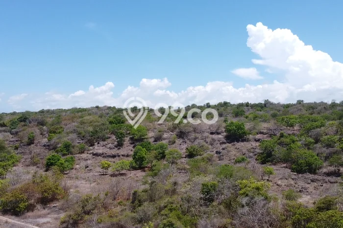 Tanah Kavling untuk Dijual di Mamboro Sumba Tengah 760000m2 Tanah Kavling untuk Dijual di Mamboro Sumba Tengah 760000m2