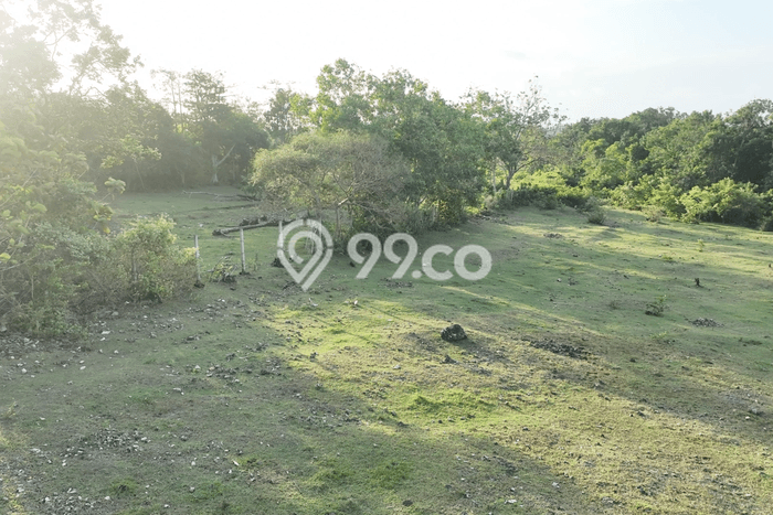 Tanah Dijual Lokasi Strategis di Badung dengan Luas 9609m2 Tanah Dijual Lokasi Strategis di Badung dengan Luas 9609m2