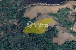 Kavling Tanah untuk Dijual di Labuan Bajo, Manggarai Barat, Luas 5000m2 Kavling Tanah untuk Dijual di Labuan Bajo, Manggarai Barat, Luas 5000m2