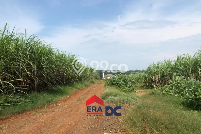 Tanah Komersial Dijual di Gringsing Batang 246600m2 Tanah Komersial Dijual di Gringsing Batang 246600m2