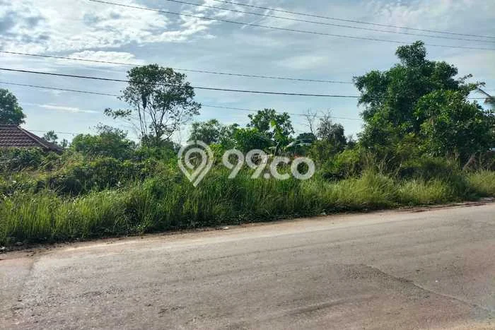 Dijual Tanah di Banjar Baru, Luas 7440m2 SHM Dijual Tanah di Banjar Baru, Luas 7440m2 SHM