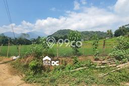 Lahan Kosong Dijual di Boja, Kendal, Luas 9450m2 Area Strategis Lahan Kosong Dijual di Boja, Kendal, Luas 9450m2 Area Strategis
