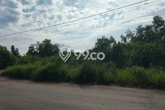 Dijual Tanah di Banjar Baru, Luas 7440m2 SHM Dijual Tanah di Banjar Baru, Luas 7440m2 SHM