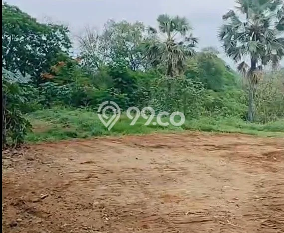 Dijual Lahan Strategis 7 Are, Lokasi Sangsit Buleleng, Bali Utara Dijual Lahan Strategis 7 Are, Lokasi Sangsit Buleleng, Bali Utara