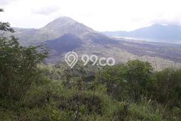 Kavling Tanah untuk Disewa di Batur Selatan Lahan Luas 3500m2 Kavling Tanah untuk Disewa di Batur Selatan Lahan Luas 3500m2