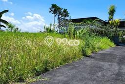 Tanah Dijual Lokasi Strategis di Badung dengan Luas 400m2 Tanah Dijual Lokasi Strategis di Badung dengan Luas 400m2