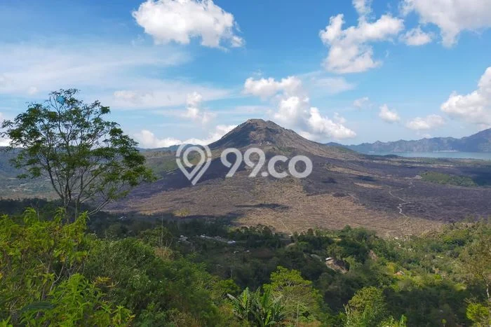 Tanah Kavling Dijual di Batur Selatan, Bangli dengan Luas Tanah 1000m2 Tanah Kavling Dijual di Batur Selatan, Bangli dengan Luas Tanah 1000m2