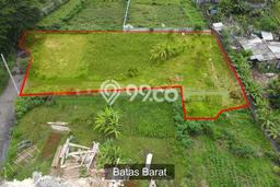 Tanah Kavling Dijual di Sanur, Denpasar dengan Luas Tanah 1700m2 Tanah Kavling Dijual di Sanur, Denpasar dengan Luas Tanah 1700m2