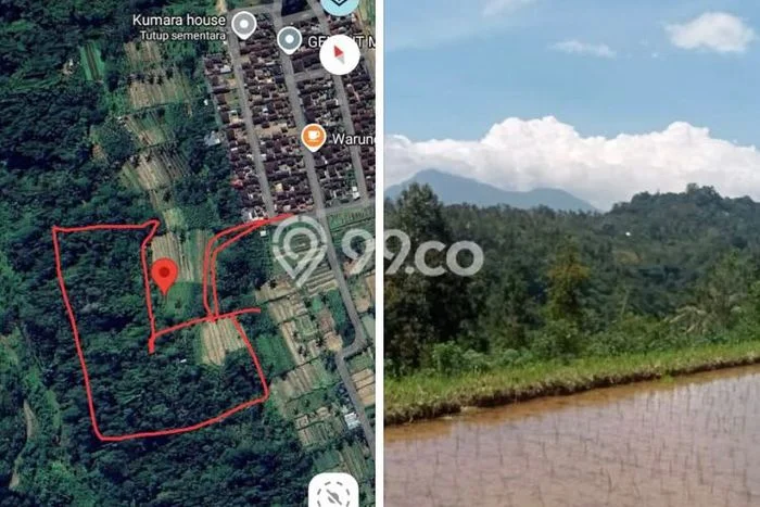 Kavling Tanah Dijual di Payangan Gianyar Spesifikasi 20000m2 Kavling Tanah Dijual di Payangan Gianyar Spesifikasi 20000m2