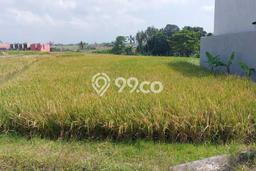 Tanah Kavling Dijual di Canggu, Badung dengan Luas Tanah 3100m2 Tanah Kavling Dijual di Canggu, Badung dengan Luas Tanah 3100m2
