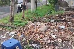 Tanah di Denpasar Barat, Denpasar Luas 200m2 Dijual Segera Tanah di Denpasar Barat, Denpasar Luas 200m2 Dijual Segera