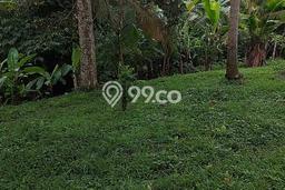 Dijual Tanah Lokasi Penatahan, Tabanan Seluas 1650m2 Dijual Tanah Lokasi Penatahan, Tabanan Seluas 1650m2