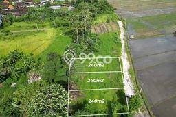 Untuk Dijual Tanah di Tabanan, Luas 240m2 SHM Untuk Dijual Tanah di Tabanan, Luas 240m2 SHM