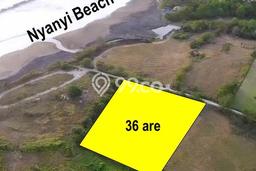 Tanah Dijual Area Strategis di Nyanyi Badung 3600m2 Tanah Dijual Area Strategis di Nyanyi Badung 3600m2