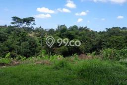 Tanah untuk Dijual Lokasi Tabanan, Tabanan Luas 560m2 SHM Tanah untuk Dijual Lokasi Tabanan, Tabanan Luas 560m2 SHM