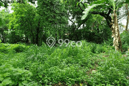 Lahan Dijual Lokasi Strategis di Bekasi dengan Luas 1395m2 Lahan Dijual Lokasi Strategis di Bekasi dengan Luas 1395m2