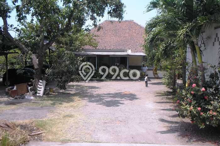 Untuk Dijual Tanah di Tegal Timur Tegal Luas 3530m2 SHM Untuk Dijual Tanah di Tegal Timur Tegal Luas 3530m2 SHM