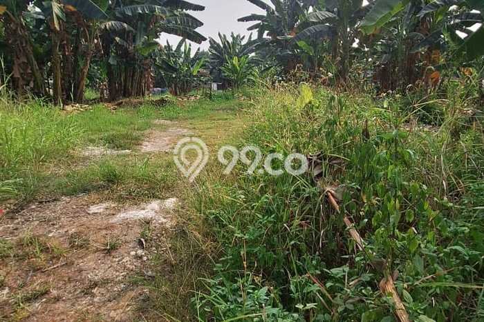 Tanah Disewa Strategis di Tangerang Luas 2498m2 Tanah Disewa Strategis di Tangerang Luas 2498m2