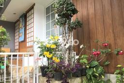 Jual Rumah Luas Elegan Dengan View Cantik di Sektor 7-Bintaro, Tangerang Selatan Jual Rumah Luas Elegan Dengan View Cantik di Sektor 7-Bintaro, Tangerang Selatan