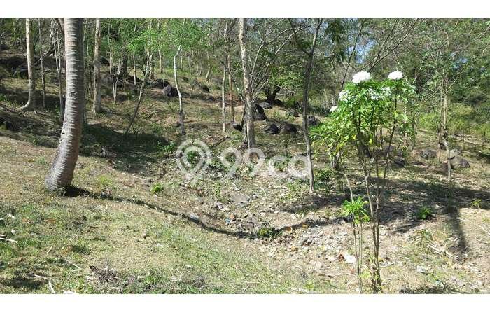 Untuk Dijual Tanah 5200m2 di Senggigi, Lombok Barat Untuk Dijual Tanah 5200m2 di Senggigi, Lombok Barat