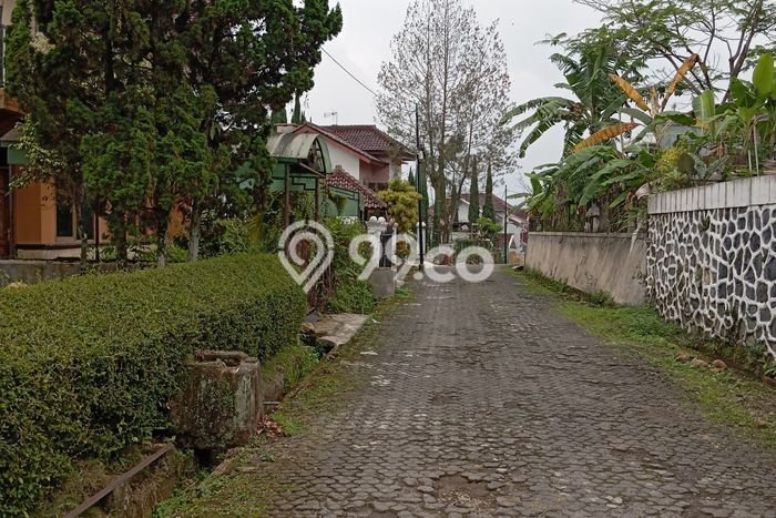 Rumah Minimalis Favorit Siap Huni Area Cipanas LT 238m2 Rumah Minimalis Favorit Siap Huni Area Cipanas LT 238m2