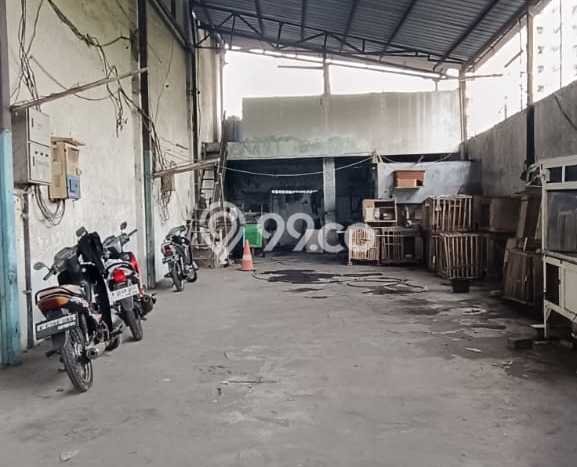 Gudang Disewakan di Daan Mogot, Luas 1800m², Area Strategis, Ready Bisnis Gudang Disewakan di Daan Mogot, Luas 1800m², Area Strategis, Ready Bisnis