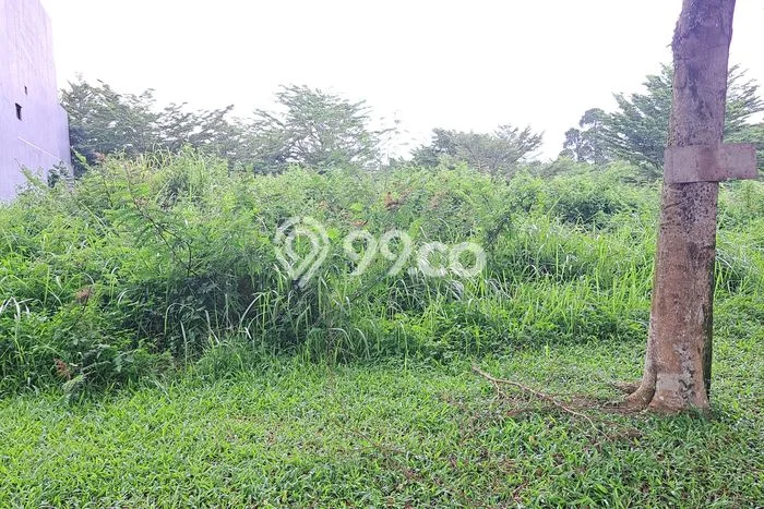 Lahan Dijual Lokasi Strategis di Bogor dengan Luas 301m2 Lahan Dijual Lokasi Strategis di Bogor dengan Luas 301m2