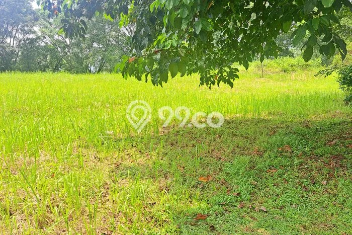 Tanah Kavling Dijual di Bogor dengan Spesifikasi 2003m2 Tanah Kavling Dijual di Bogor dengan Spesifikasi 2003m2
