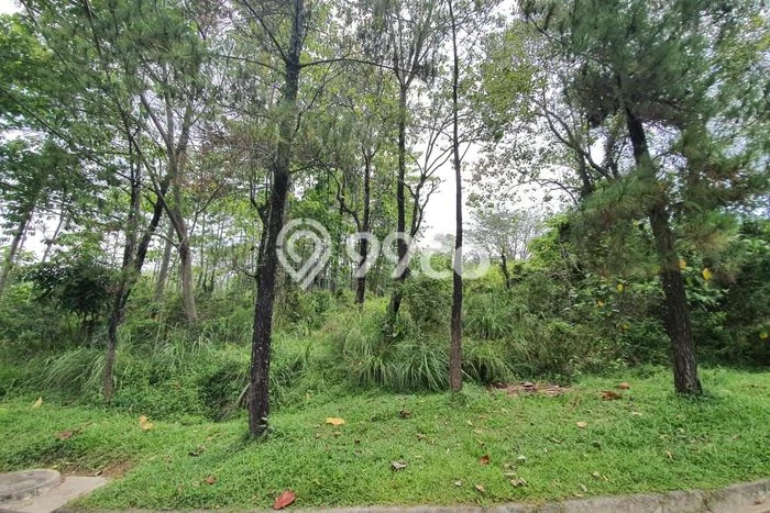 Tanah Dijual di Bogor Seluas 1663m2 Strategis Tanah Dijual di Bogor Seluas 1663m2 Strategis
