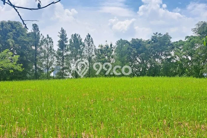 Tanah Kavling Dijual di Bogor dengan Spesifikasi 2003m2 Tanah Kavling Dijual di Bogor dengan Spesifikasi 2003m2