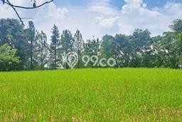 Tanah Kavling Dijual di Bogor dengan Spesifikasi 2003m2 Tanah Kavling Dijual di Bogor dengan Spesifikasi 2003m2