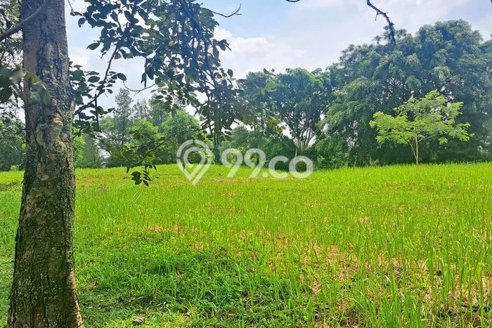 Tanah Kavling Dijual di Bogor dengan Spesifikasi 2003m2 Tanah Kavling Dijual di Bogor dengan Spesifikasi 2003m2